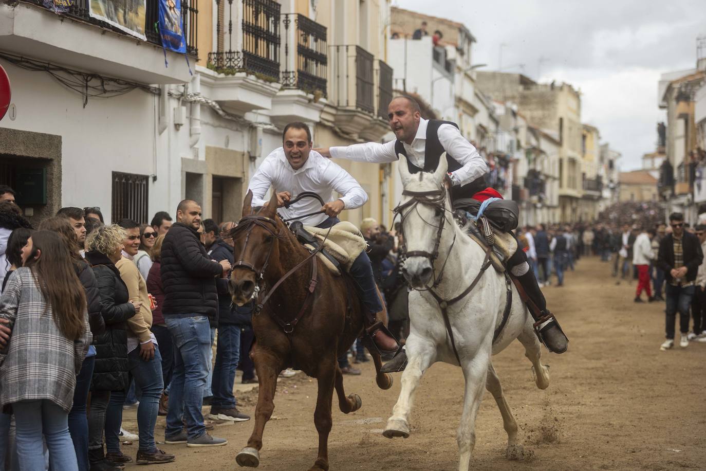 Las mejores imágenes de las carreras de caballo de Arroyo de la Luz (II)