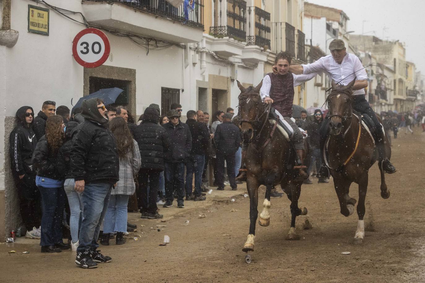 Las mejores imágenes de las carreras de caballo de Arroyo de la Luz (II)