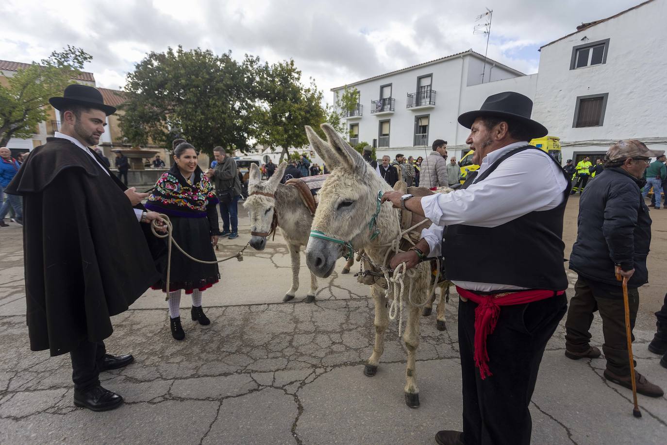 Las mejores imágenes de las carreras de caballo de Arroyo de la Luz (II)