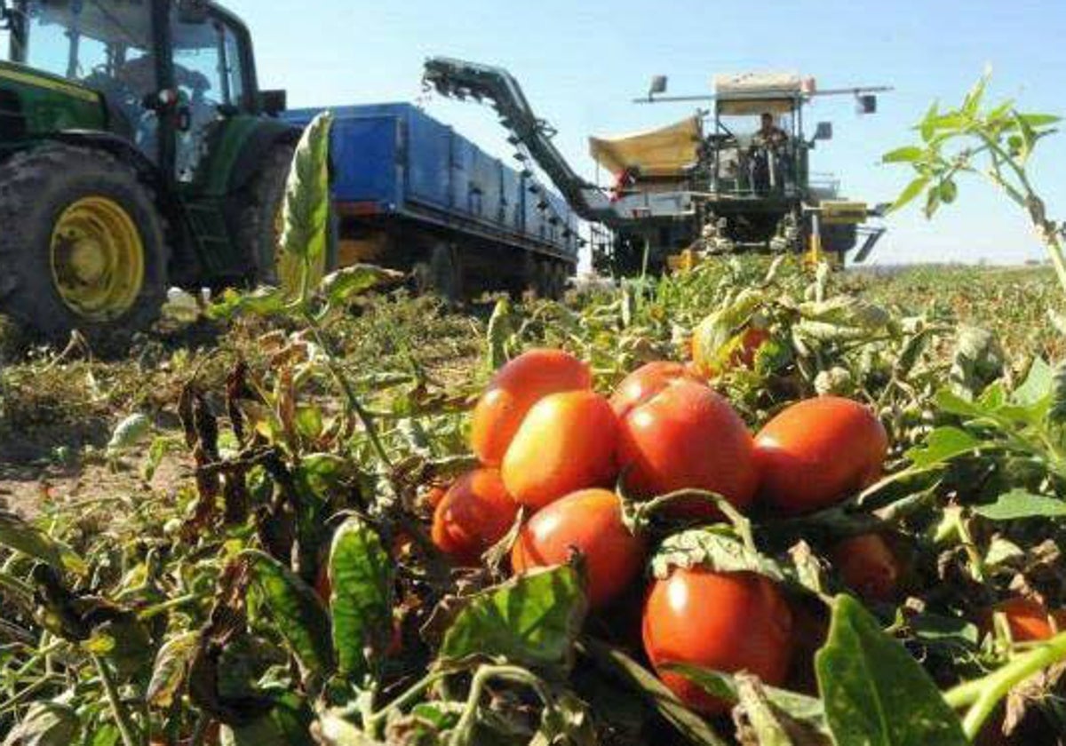 Estas son las medidas que más benefician a Extremadura tras el acuerdo entre Agricultura y UPA