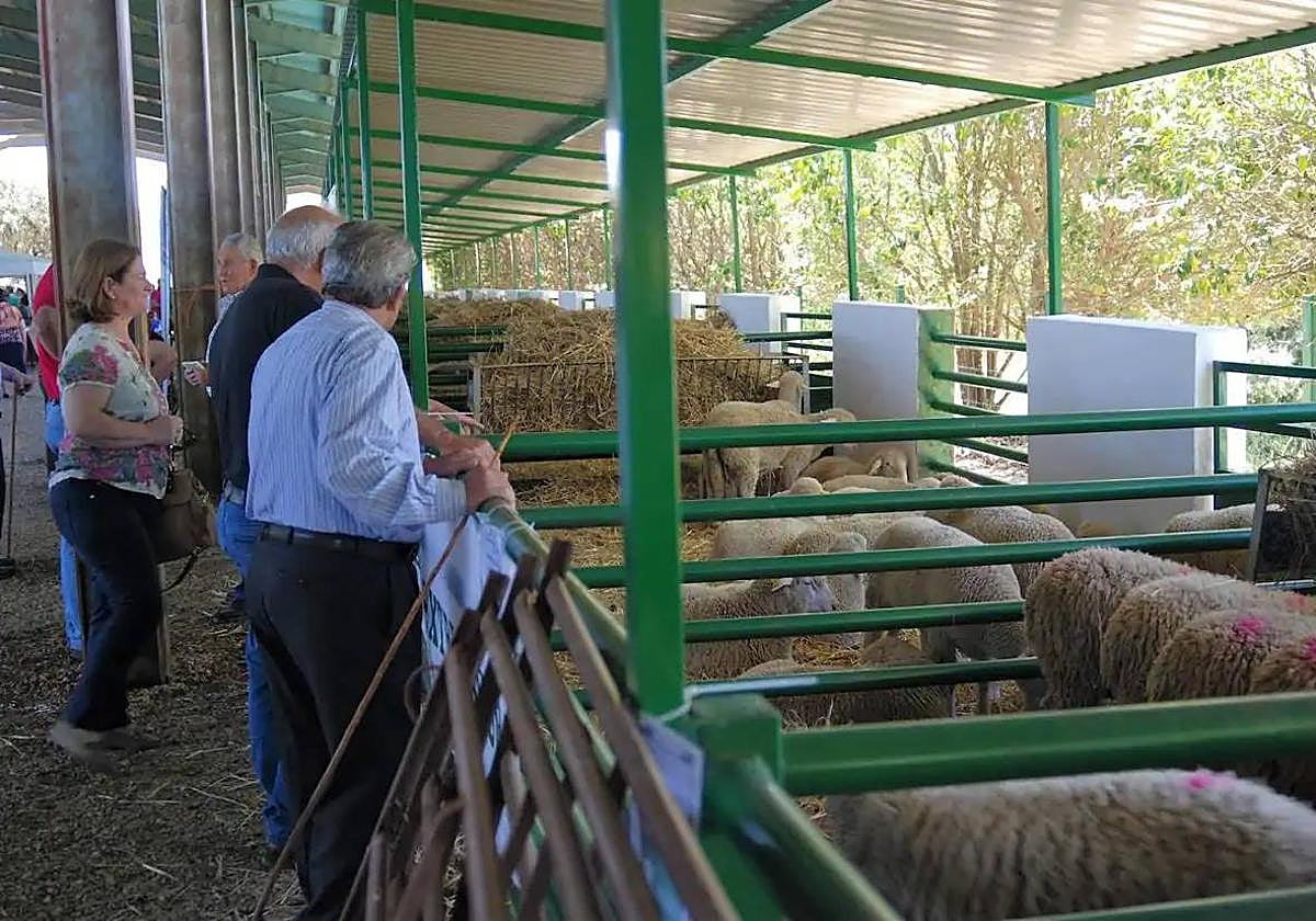 Feria ganadera en una edición anterior