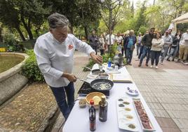 Las mejores imágenes de Extregusta, en Cáceres (I)