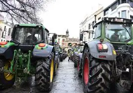 El agro, entre la sostenibilidad y la supervivencia