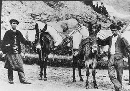 Unos hombres posan con sus mulas.