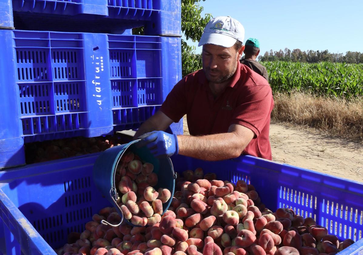 La ley de la cadena alimentaria sale al extranjero