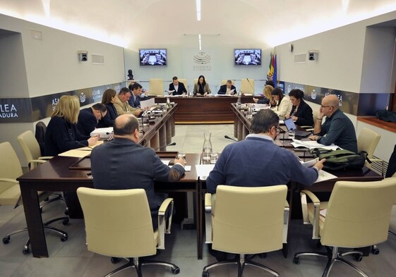Imagen de archivo de una comisión de la Asamblea de Extremadura.