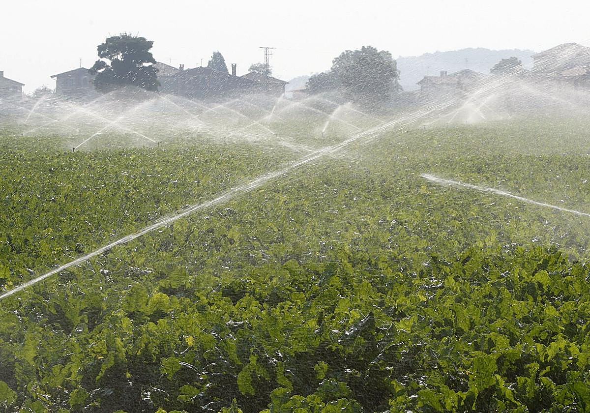 Los regantes extremeños afrontan la campaña de riego con buenas expectativas