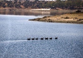 Imagen de archivo del embalse de Orellana, en los años con poca capacidad.