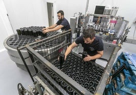 Empleados trabajando en el embotellado de cava en las Bodegas Martínez Paiva de Almendralejo.