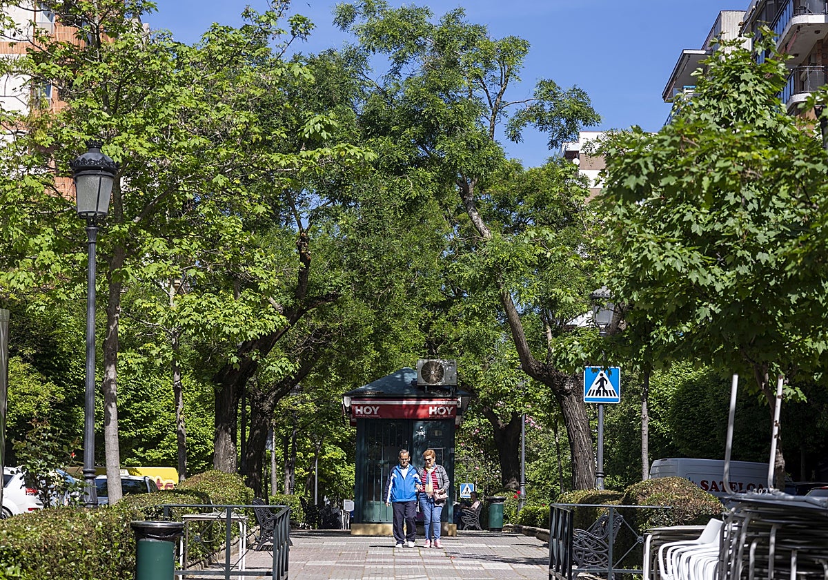 La vegetación de la avenida Virgen de la Montaña es abundante y cubre el bulevar.