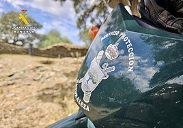 Investigan al veterinario y los organizadores de una matanza en Extremadura por un brote de triquinosis