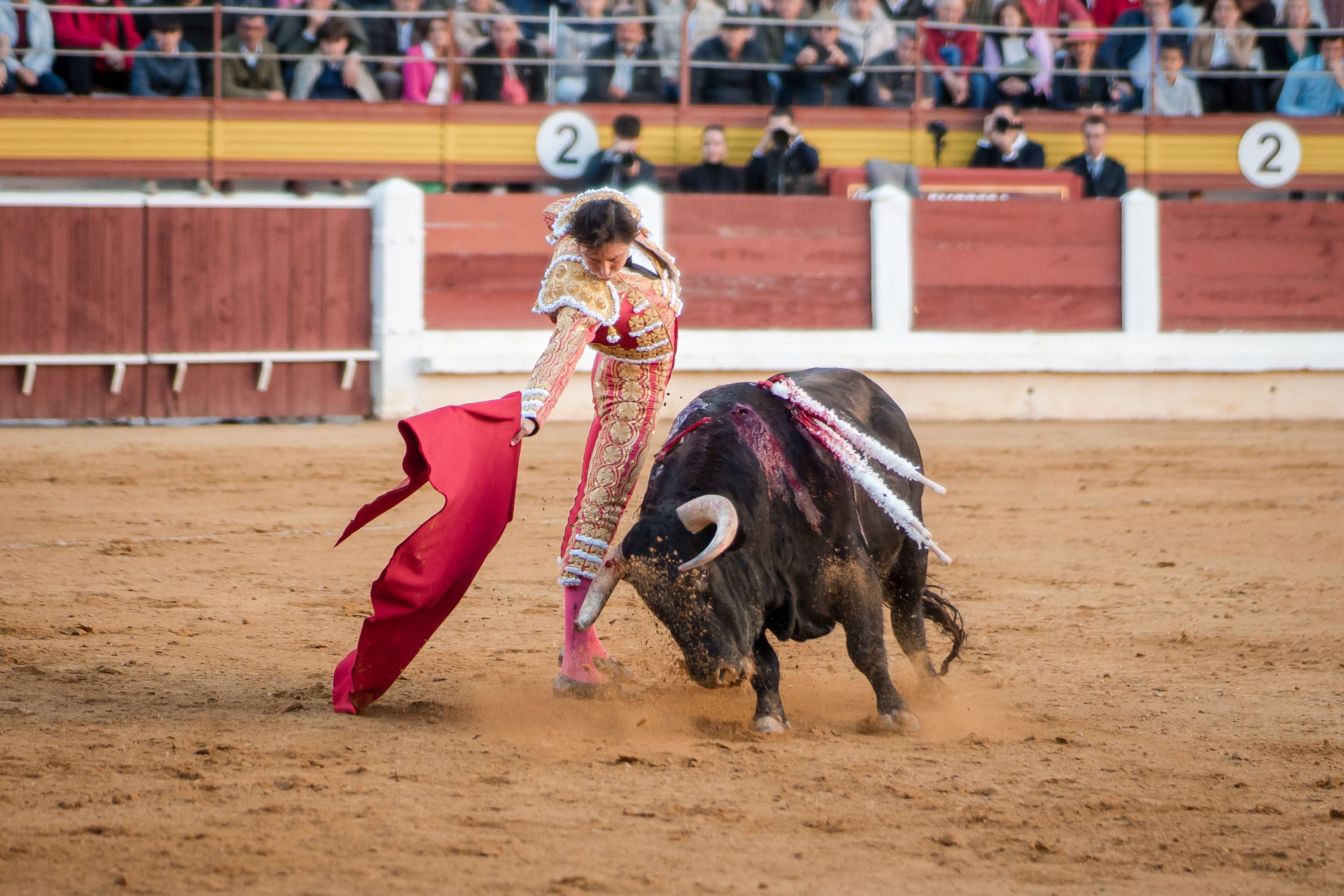 La corrida de primavera de Mérida, en imágenes (I)