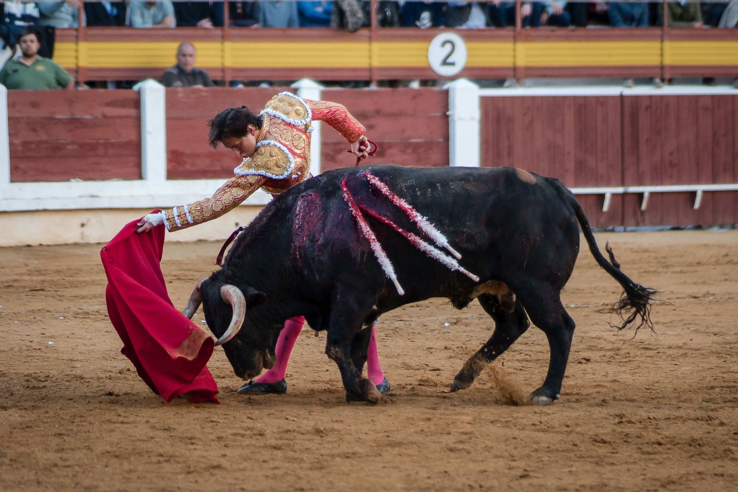 La corrida de primavera de Mérida, en imágenes (I)