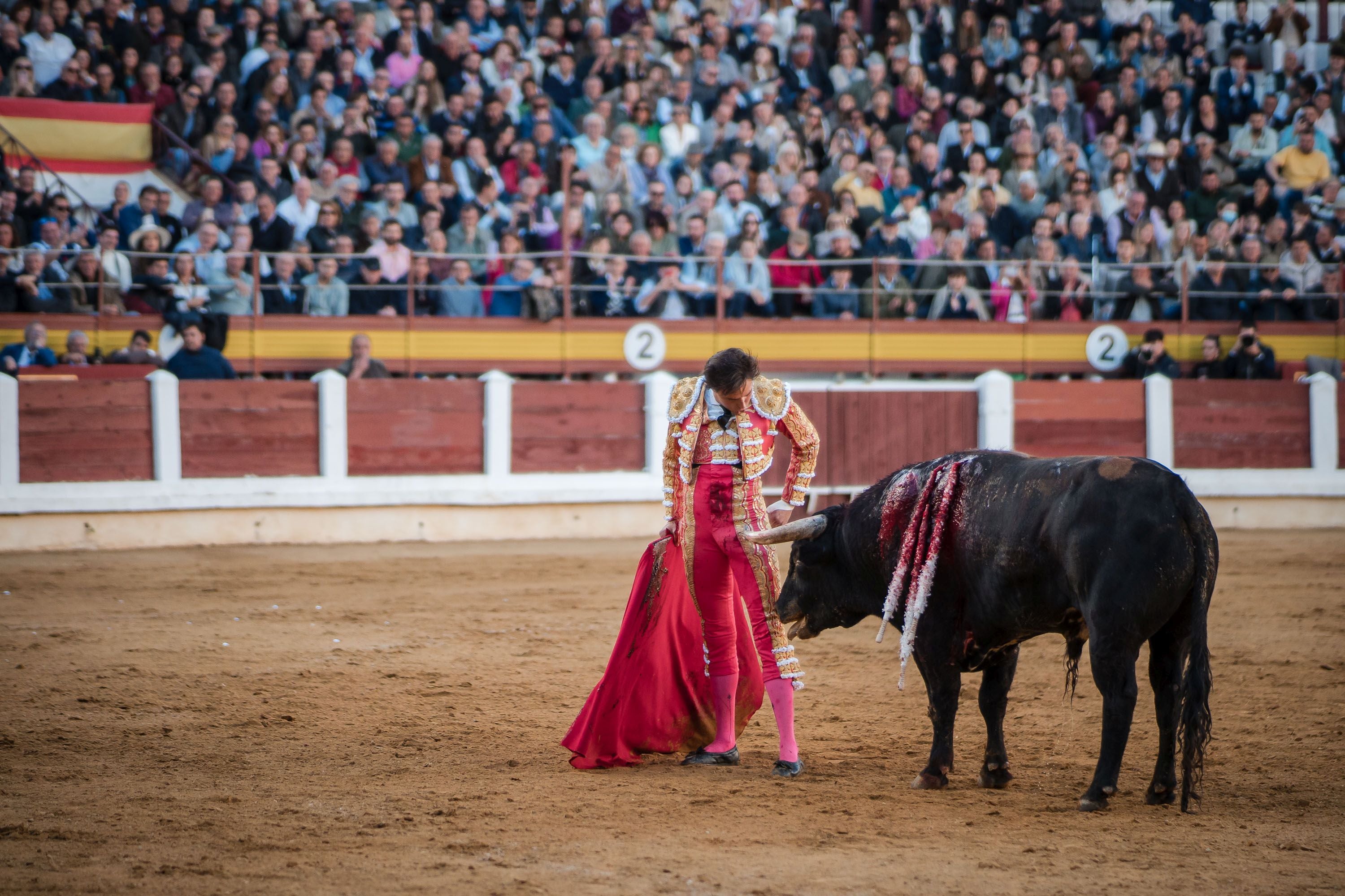 La corrida de primavera de Mérida, en imágenes (I)