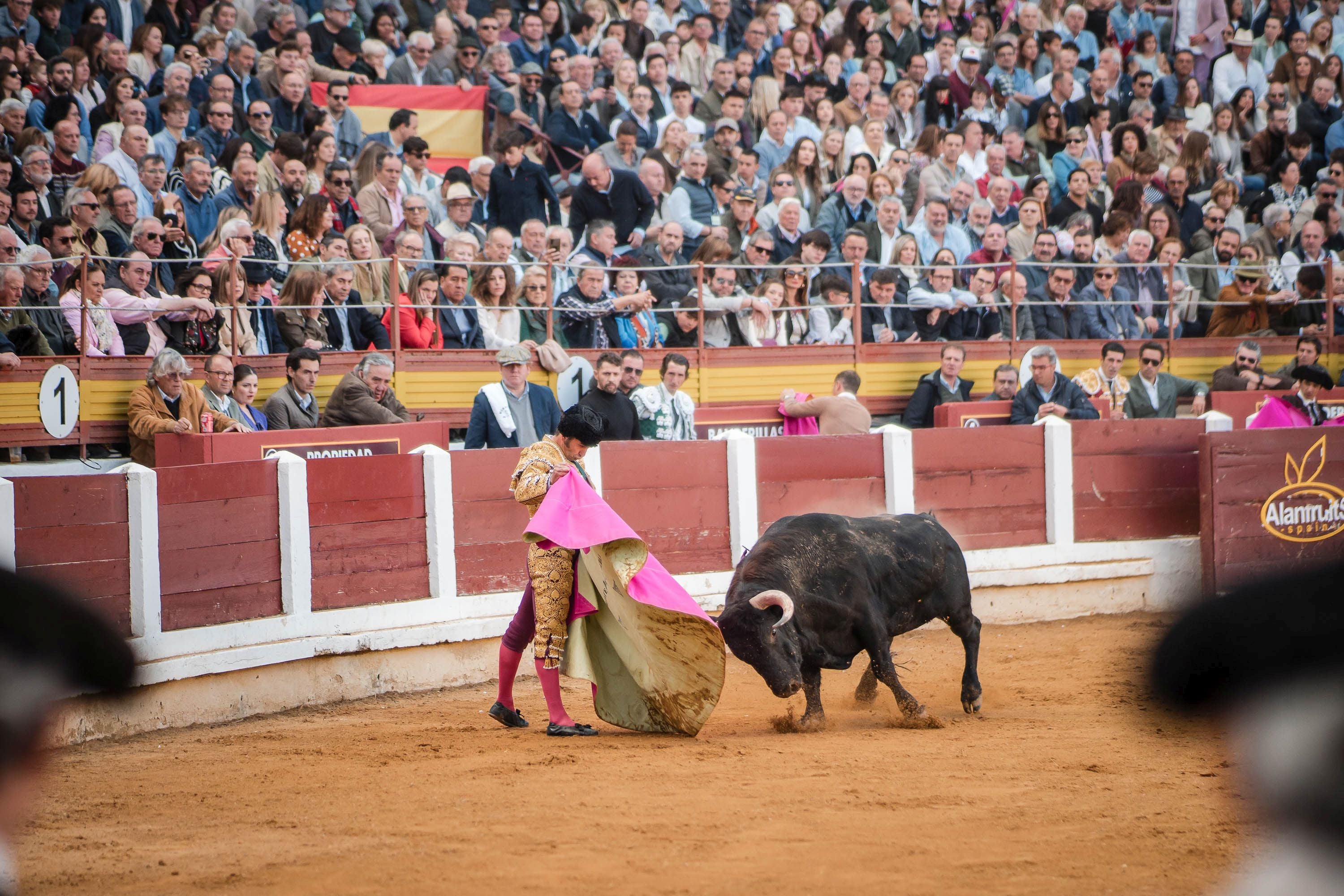 La corrida de primavera de Mérida, en imágenes (I)