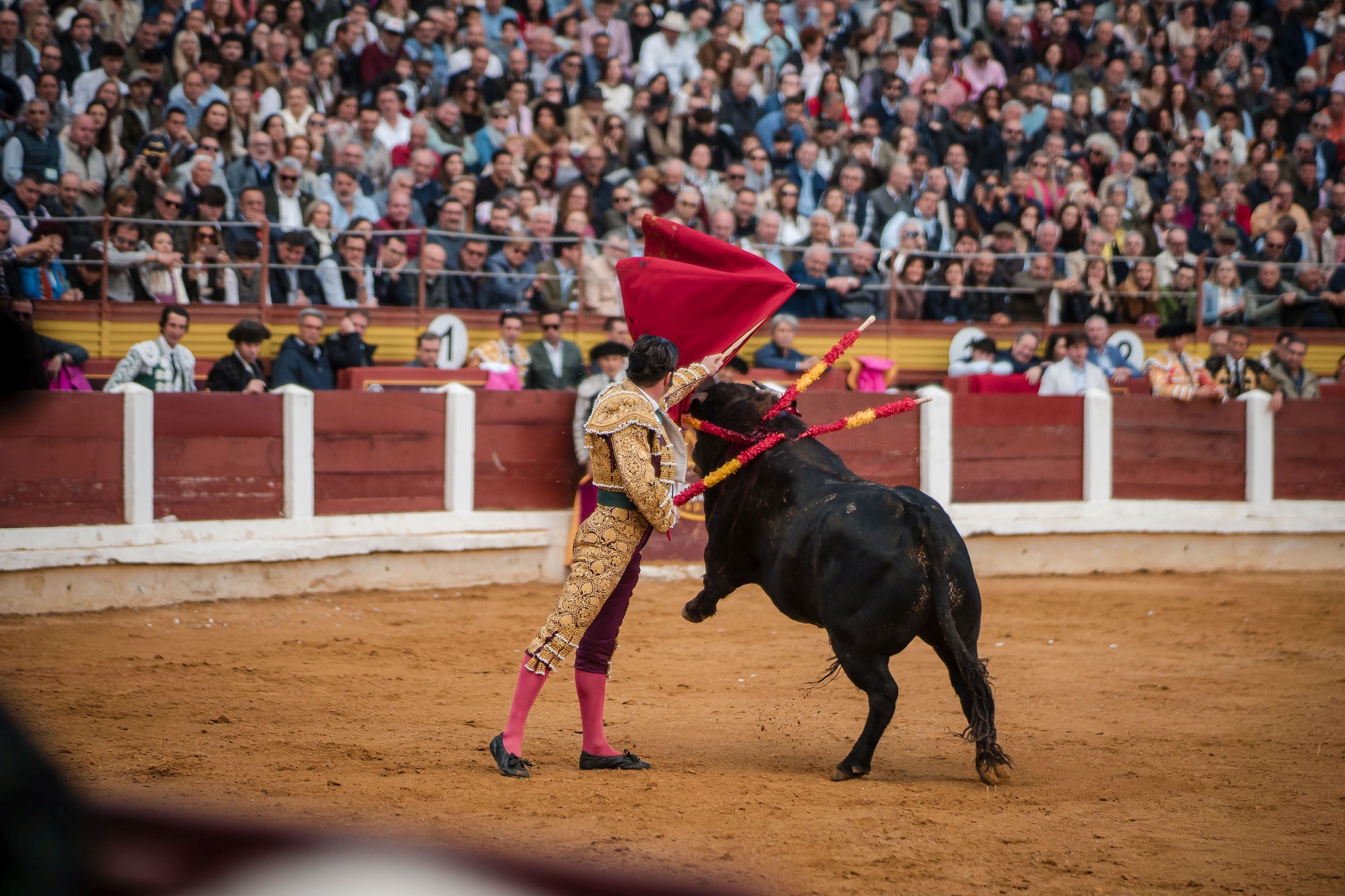 La corrida de primavera de Mérida, en imágenes (I)