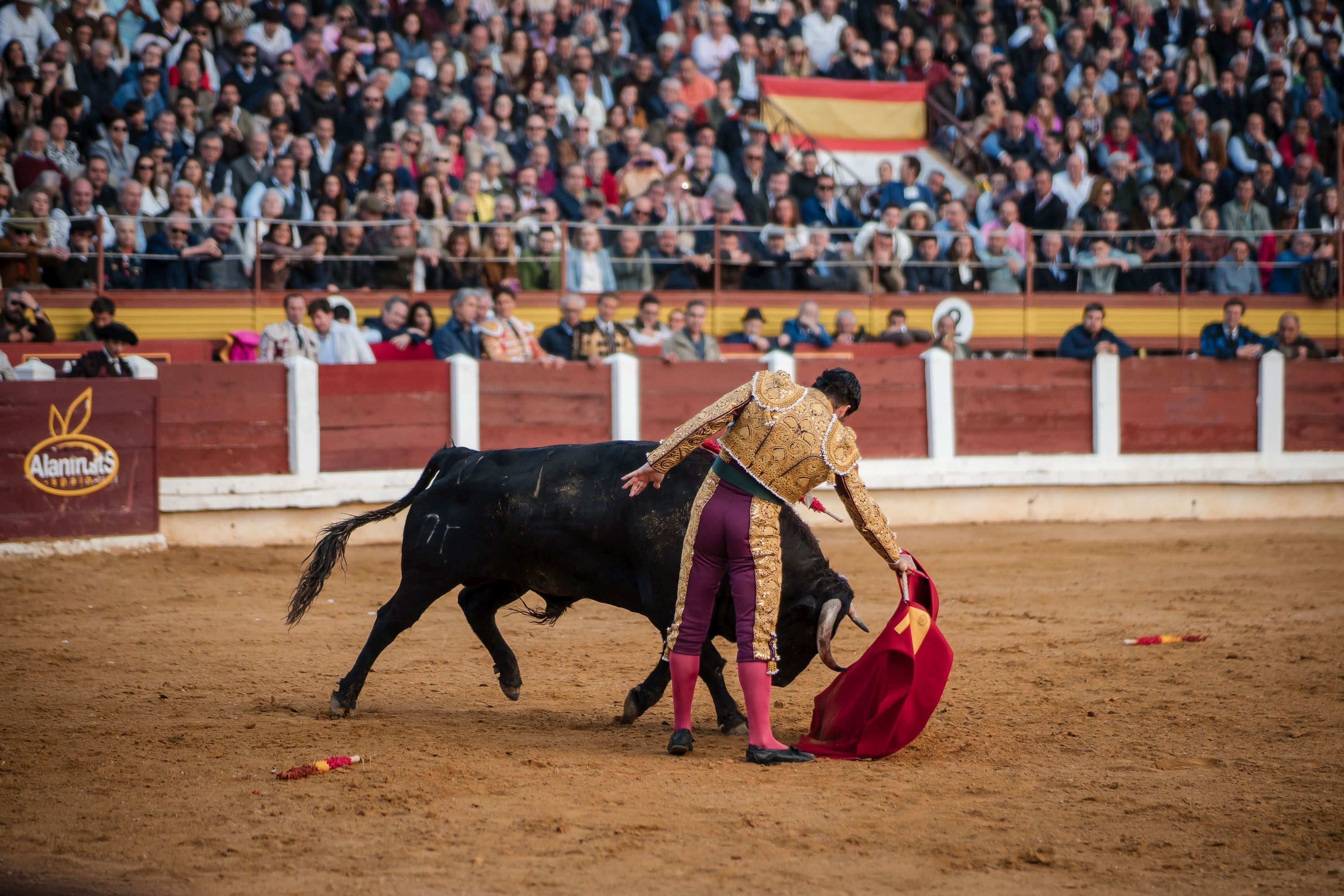 La corrida de primavera de Mérida, en imágenes (I)