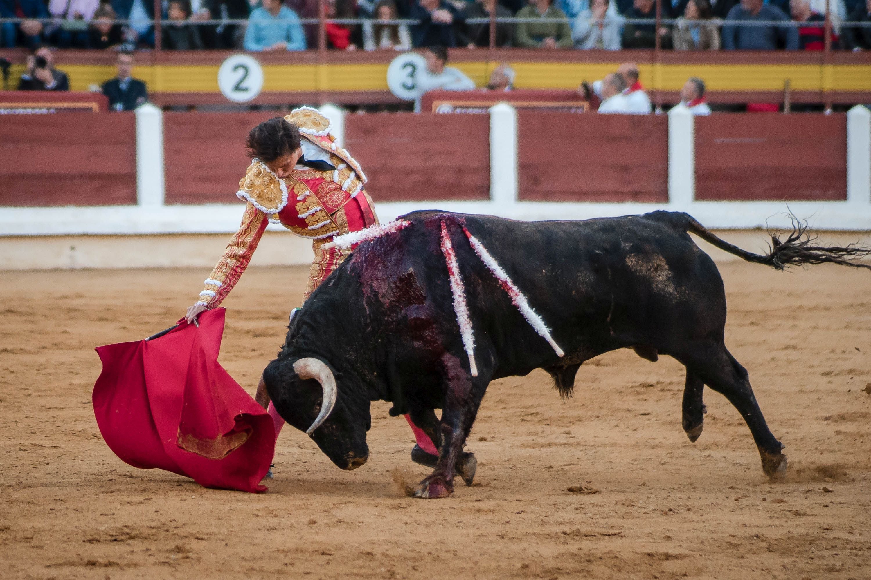 La corrida de primavera de Mérida, en imágenes (II)