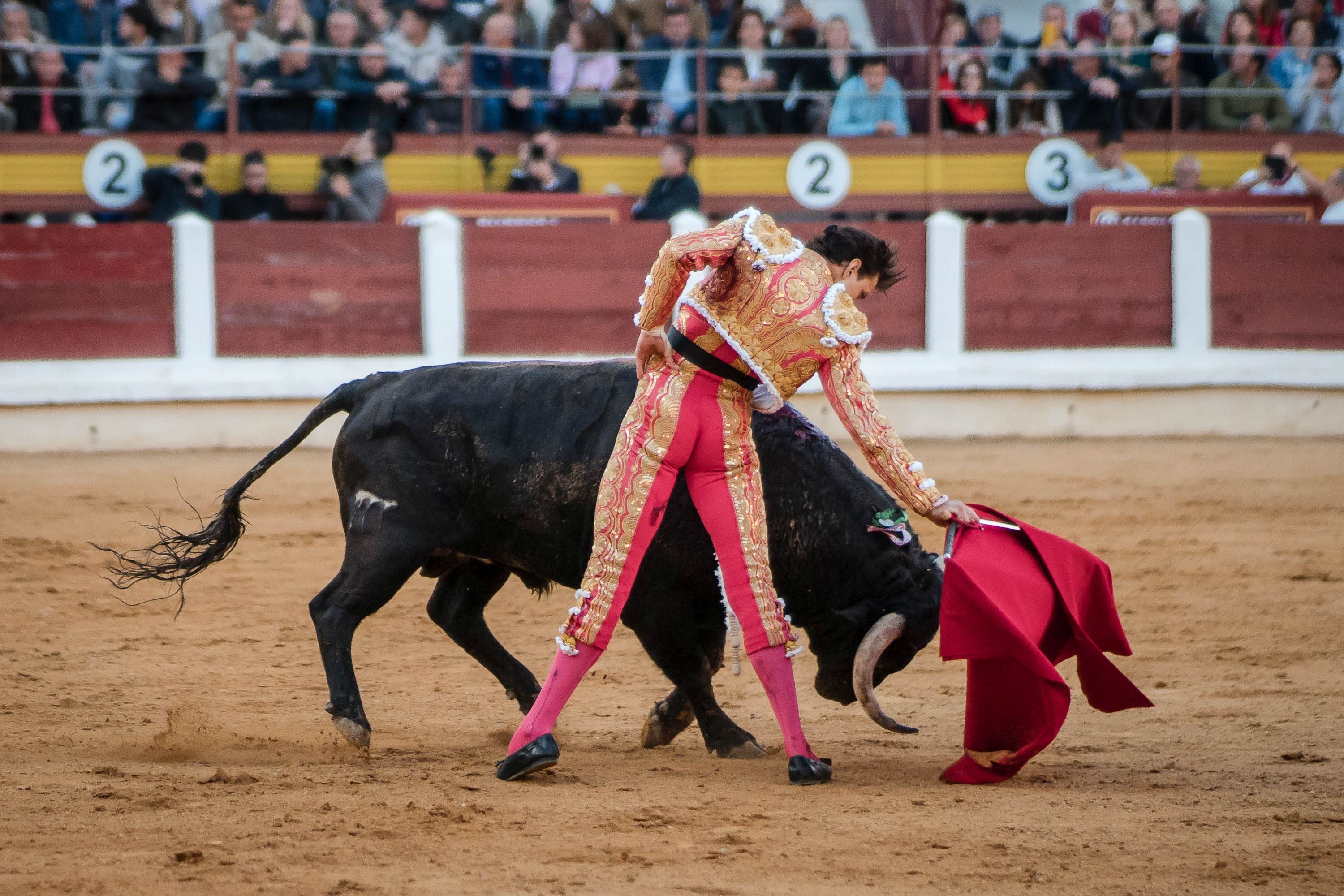 La corrida de primavera de Mérida, en imágenes (II)