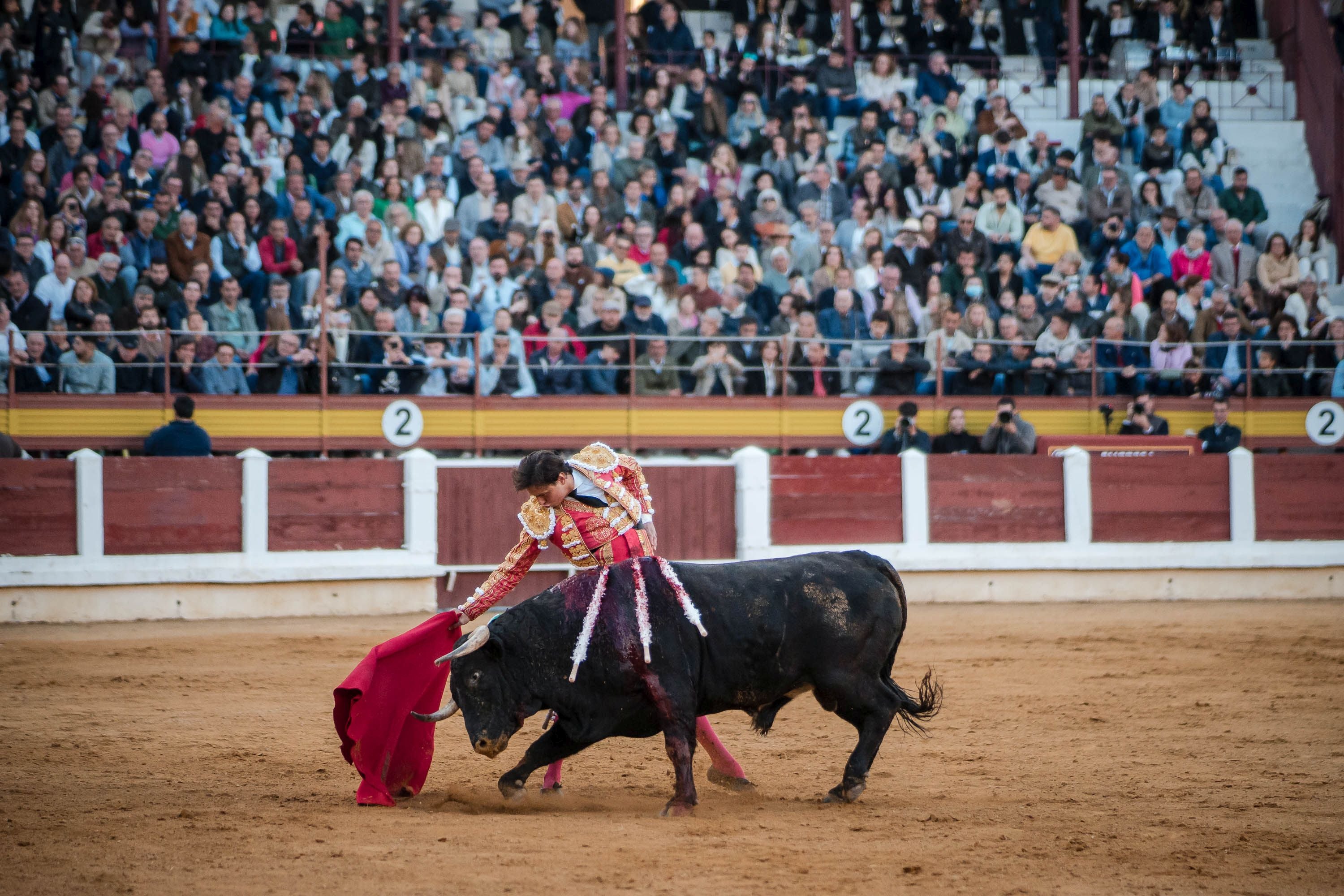 La corrida de primavera de Mérida, en imágenes (II)