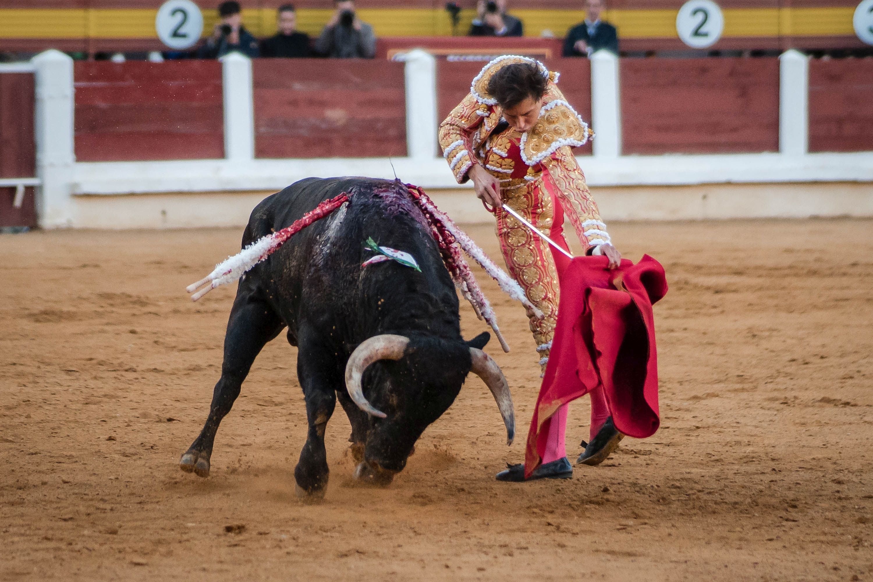 La corrida de primavera de Mérida, en imágenes (II)