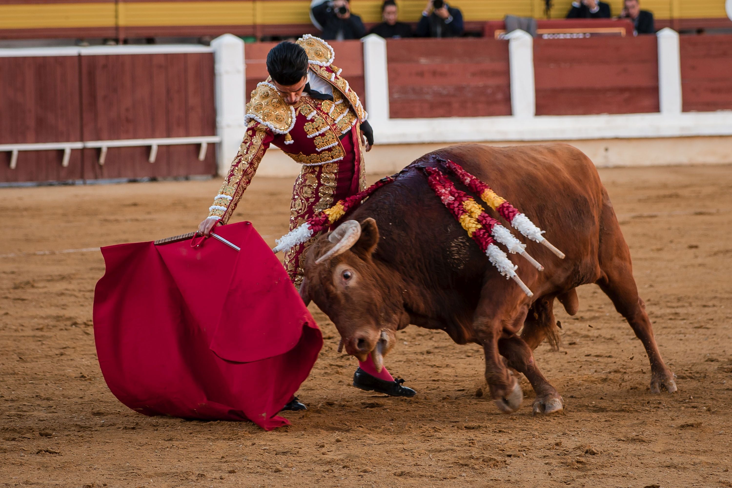 La corrida de primavera de Mérida, en imágenes (I)