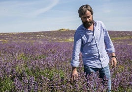 Miguel Saussol, responsable de la empresa Biottonia Naturalcare, camina entre salcia en Villanueva del Fresno