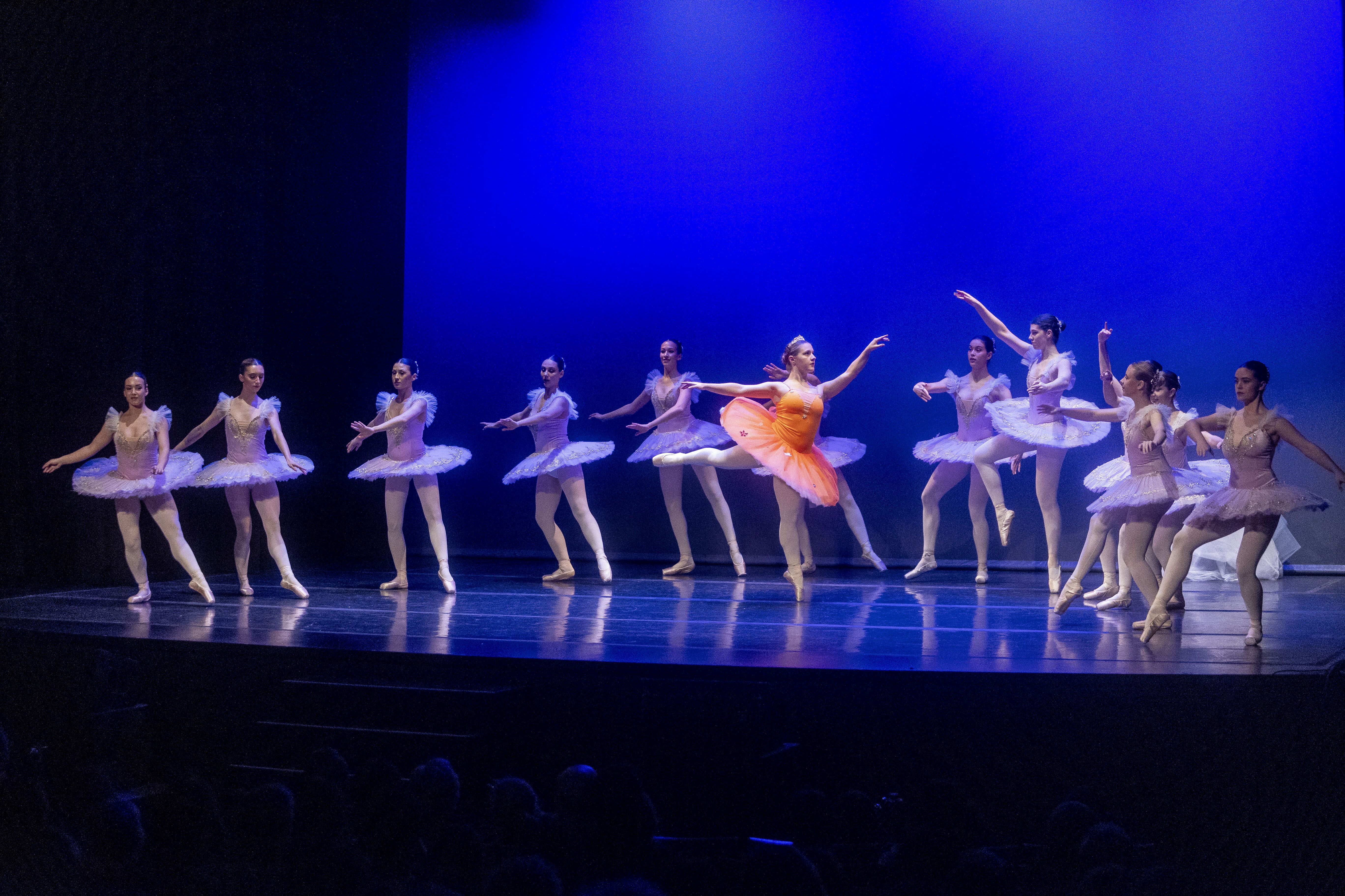 Representación de 'La Bella Durmiente' a cargo del Conservatorio profesional de danza.