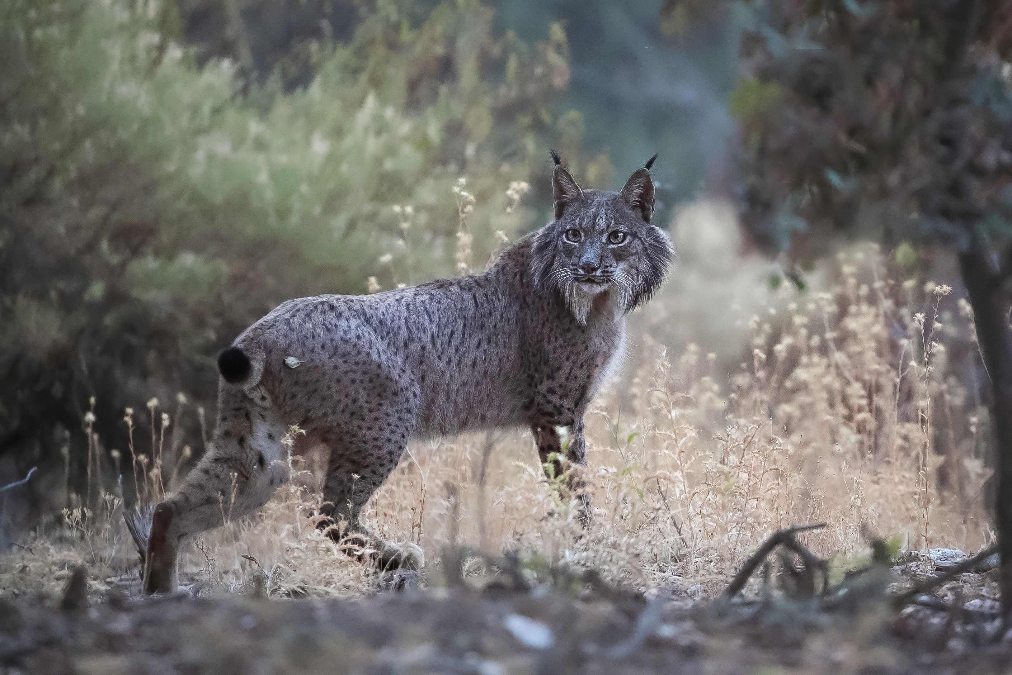 Algunas de las fotos de Merce Rodríguez por el mundo