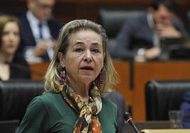 Mercedes Vaquera, consejera de Educación de la Junta.