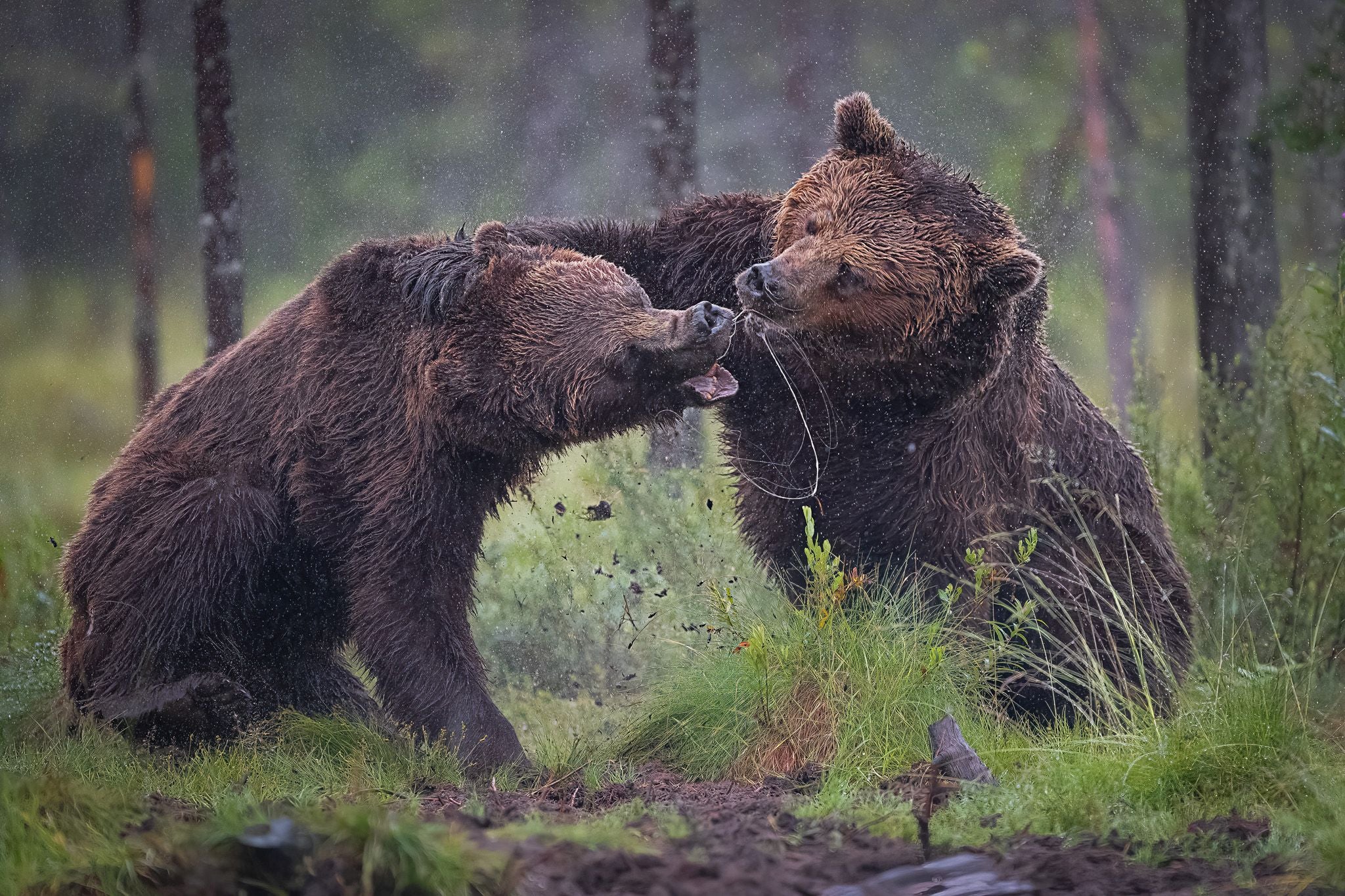 Algunas de las fotos de Merce Rodríguez por el mundo