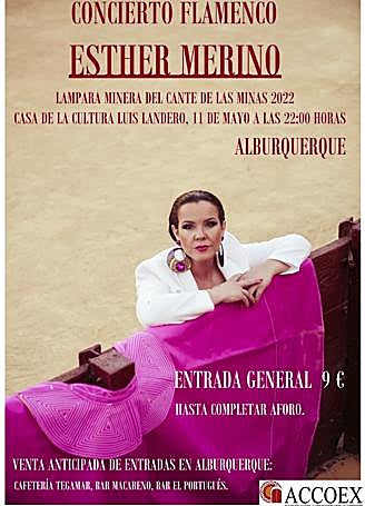 Cartel anunciador del concierto