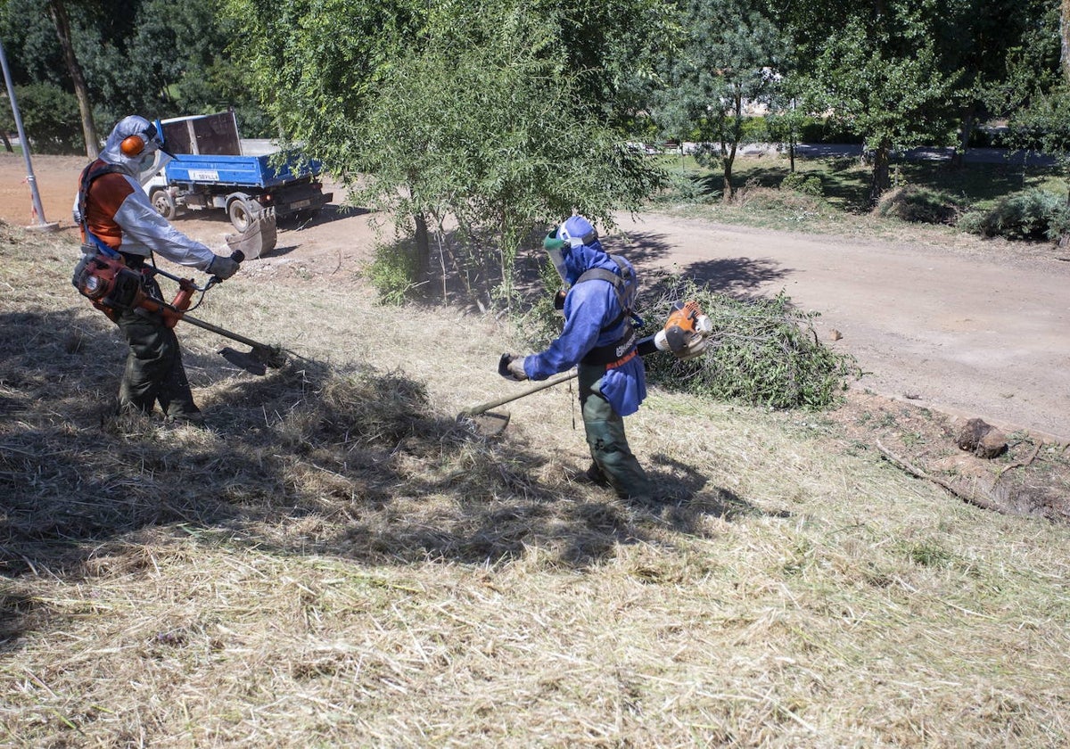 Acciones de desbroce en el Parque del Príncipe de Cáceres.