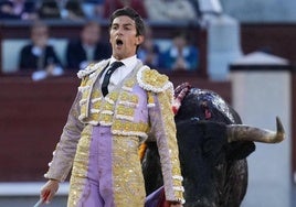 l diestro Alejandro Fermín en la faena al segundo de su lote durante la cuarta corrida de la Feria de San Isidro