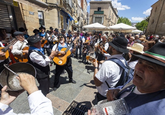 El ambiente festivo se extendió durante toda la jornada en distintos puntos del centro de Cáceres.