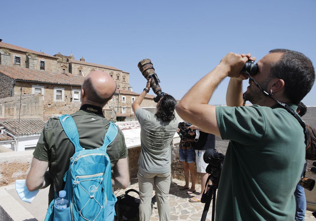 Este es el programa del Festival de las Aves de Cáceres 2024