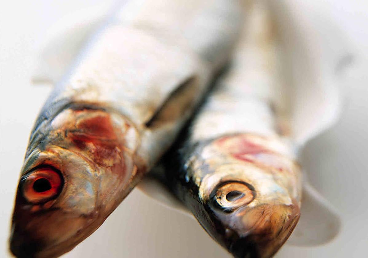 Alerta sanitaria por un pescado con anisakis