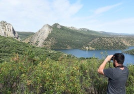 Punto final del camino de Peñafalcón, donde se pretende ubicar un mirador.