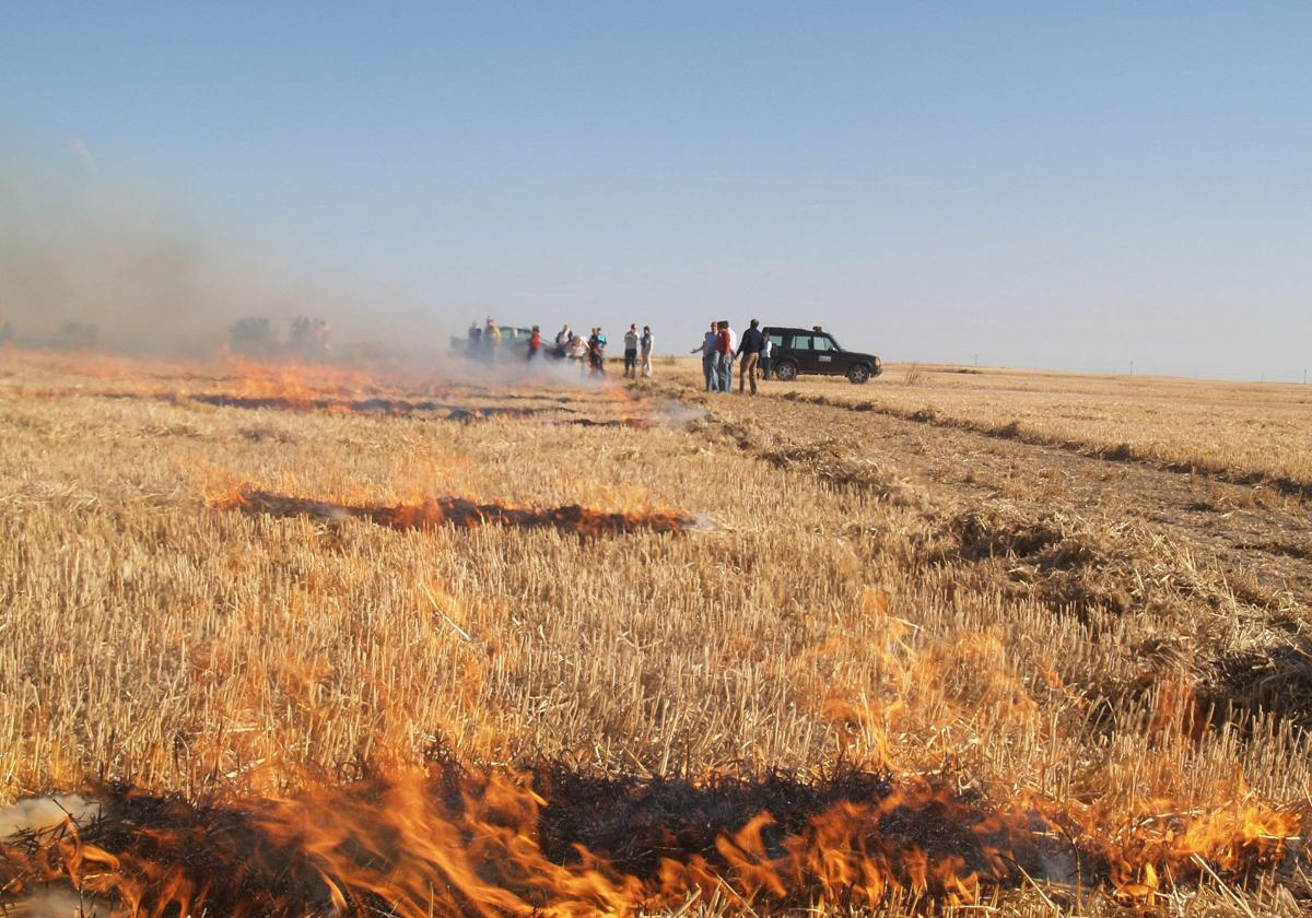 Estas son las actividades prohibidas por el peligro alto de incendio en Extremadura