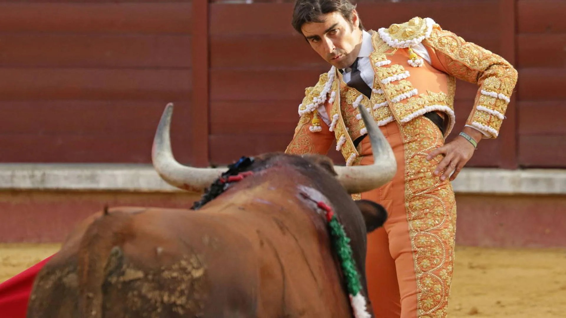 Dos corridas de toros para el fin de semana de la feria de San Juan en  Badajoz | Hoy