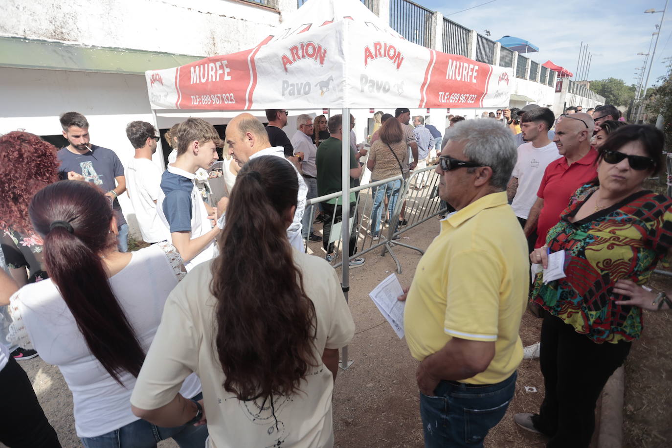 Concurso Nacional de Saltos en la preferia de Cáceres, en imágenes