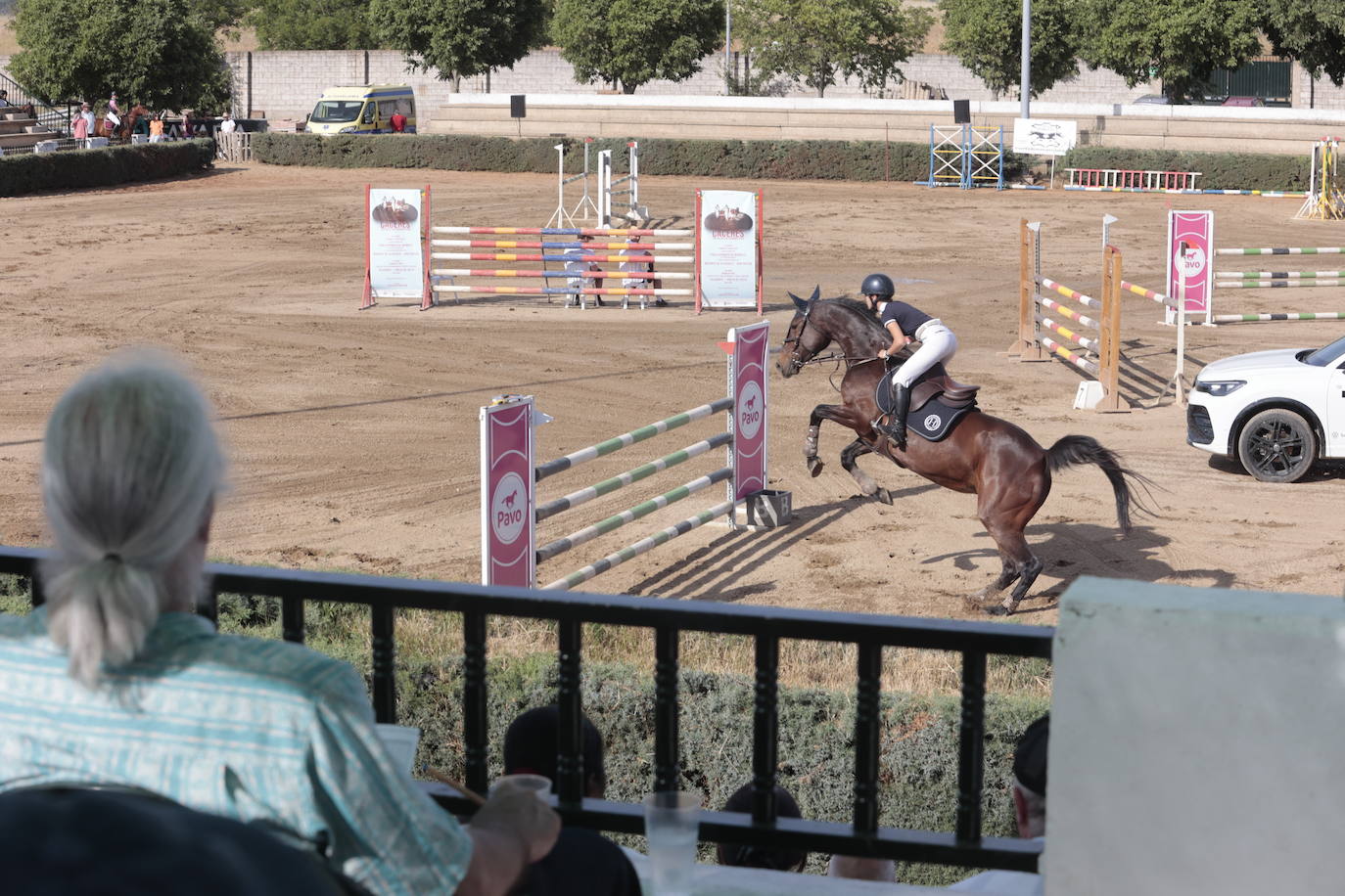 Concurso Nacional de Saltos en la preferia de Cáceres, en imágenes