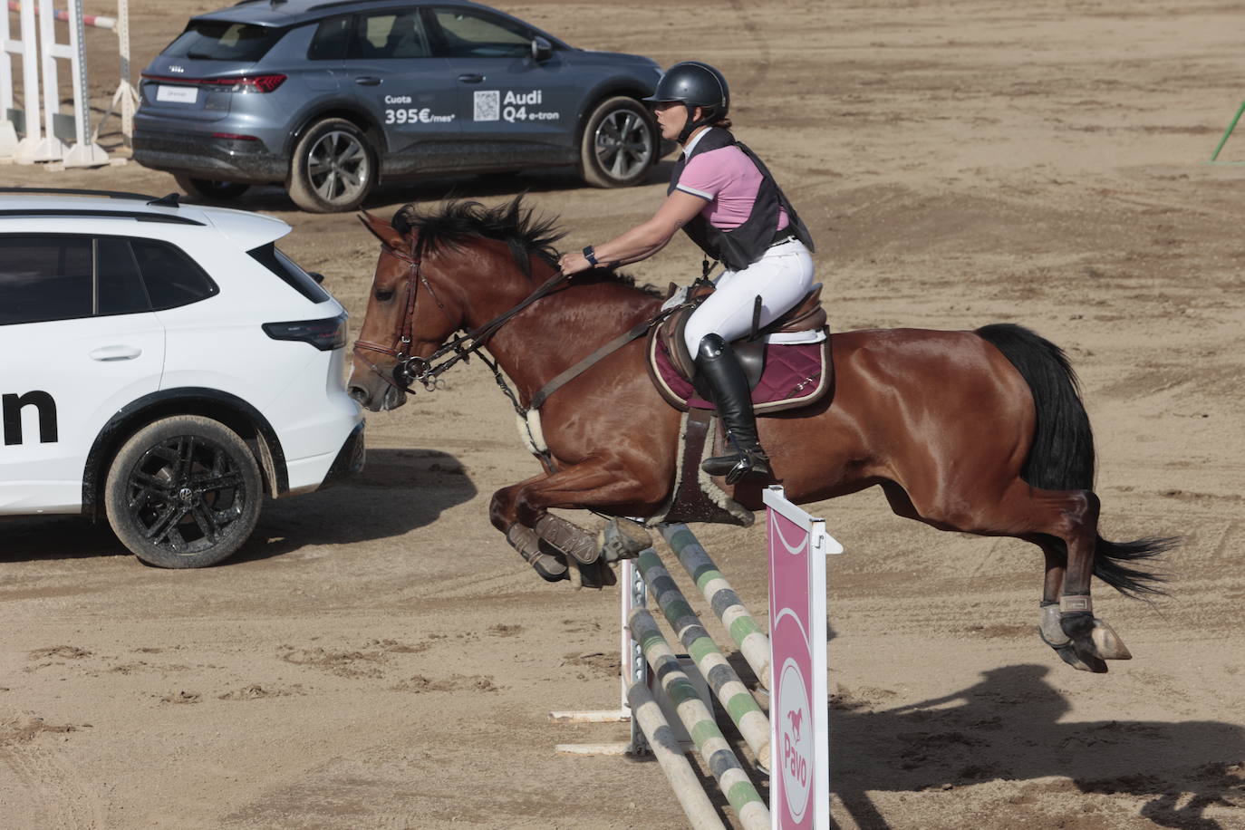 Concurso Nacional de Saltos en la preferia de Cáceres, en imágenes