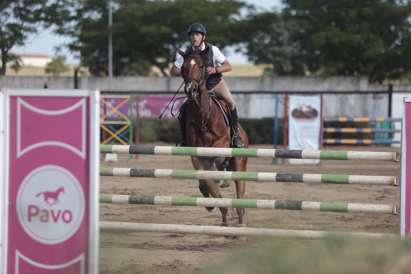 Concurso Nacional de Saltos en la preferia de Cáceres, en imágenes