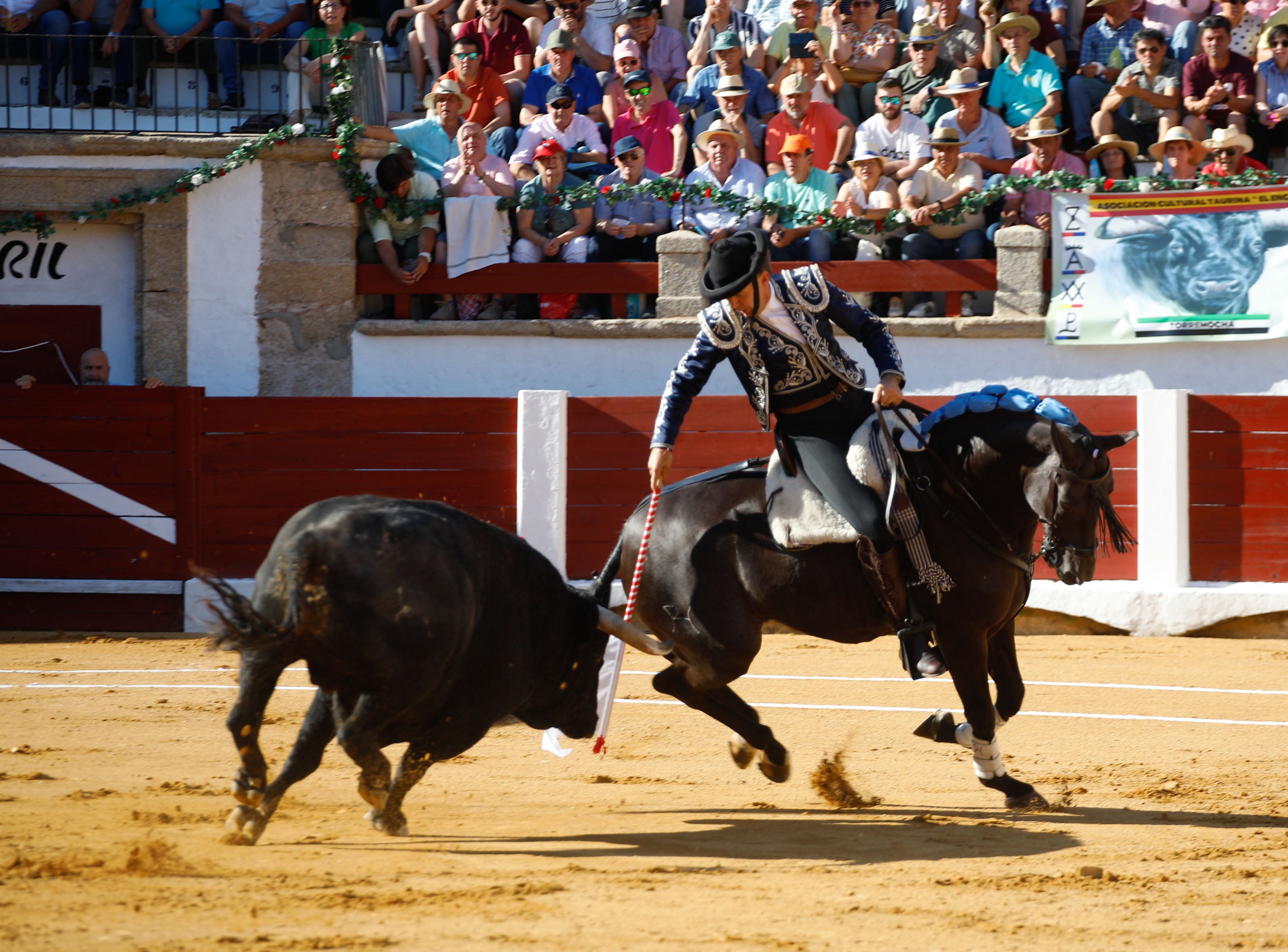 Fotos | Las mejores imágenes del regreso de los toros a Cáceres (I)