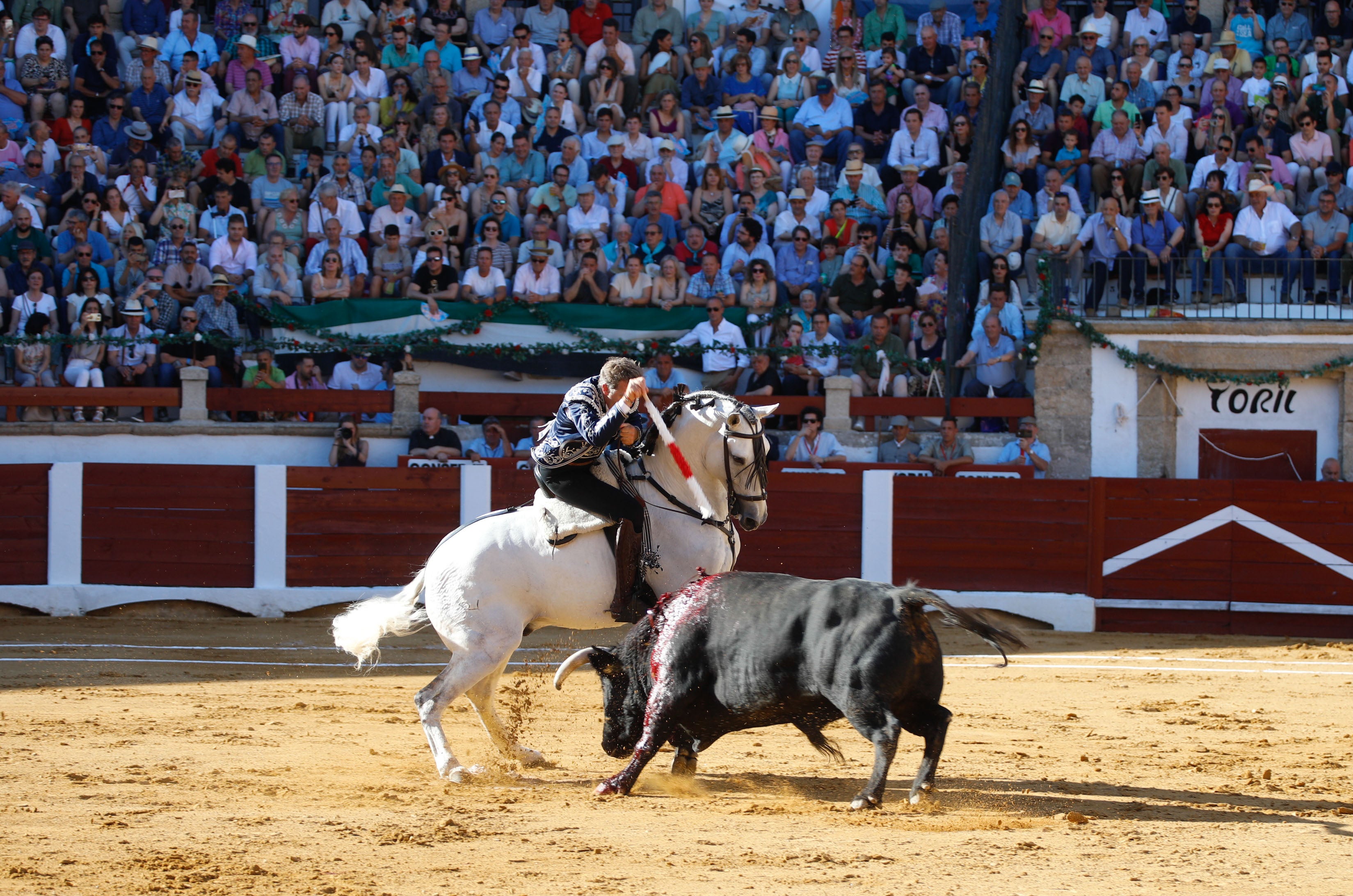 Fotos | Las mejores imágenes del regreso de los toros a Cáceres (I)