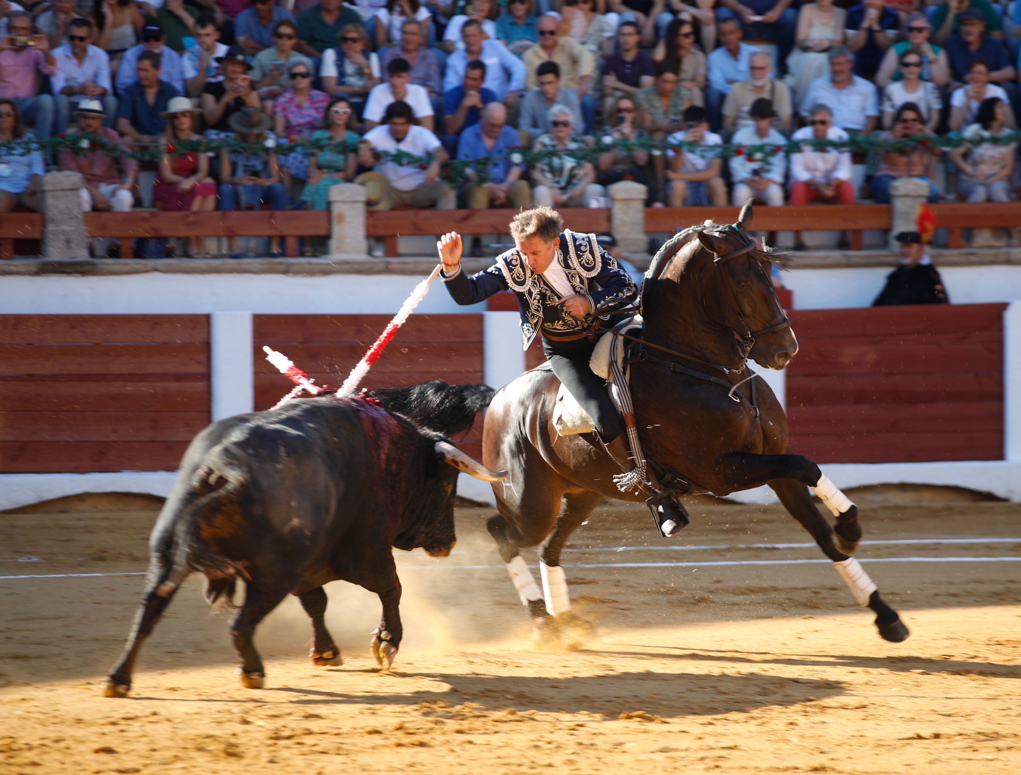 Fotos | Las mejores imágenes del regreso de los toros a Cáceres (I)