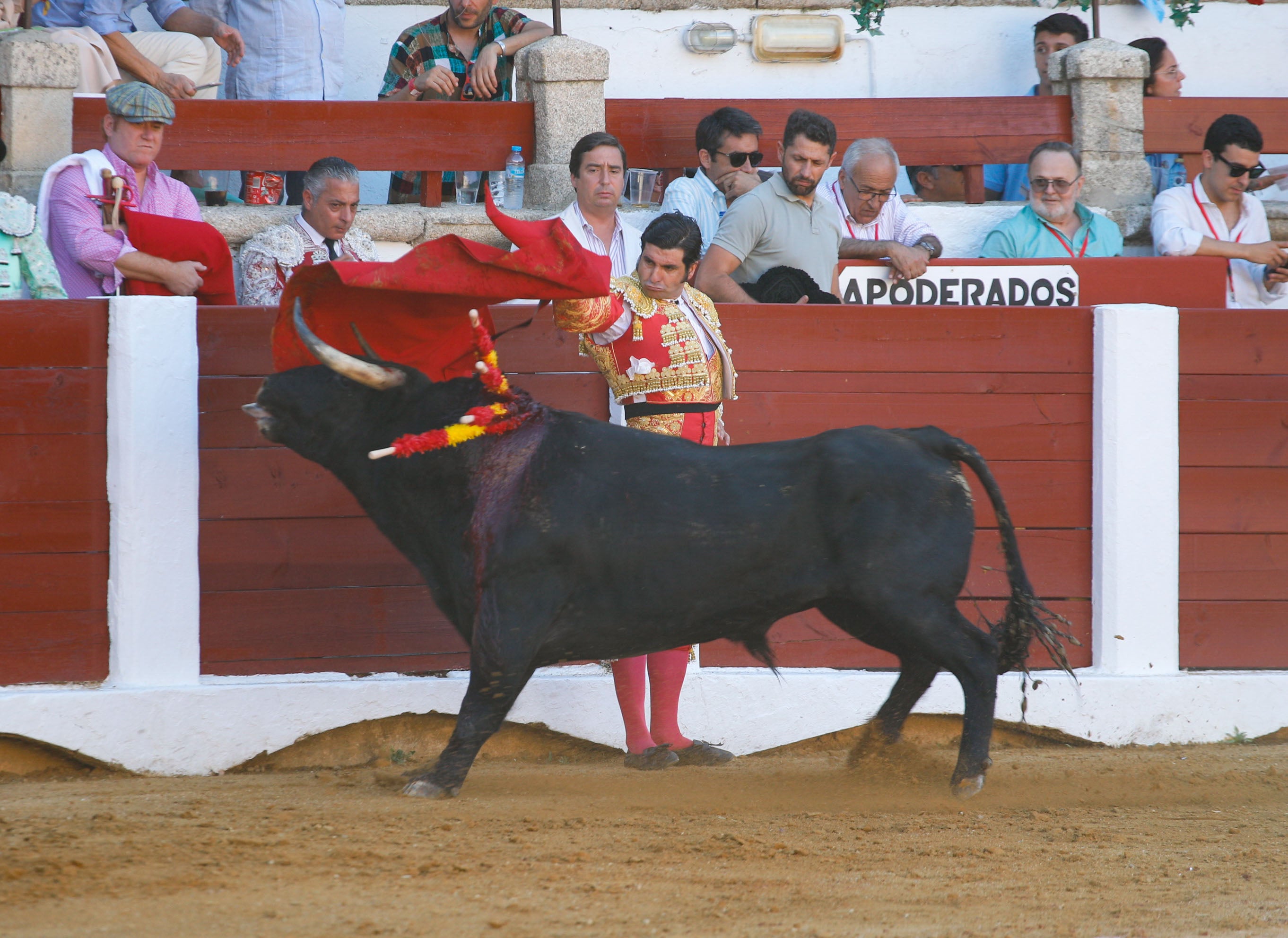 Fotos | Las mejores imágenes del regreso de los toros a Cáceres (I)