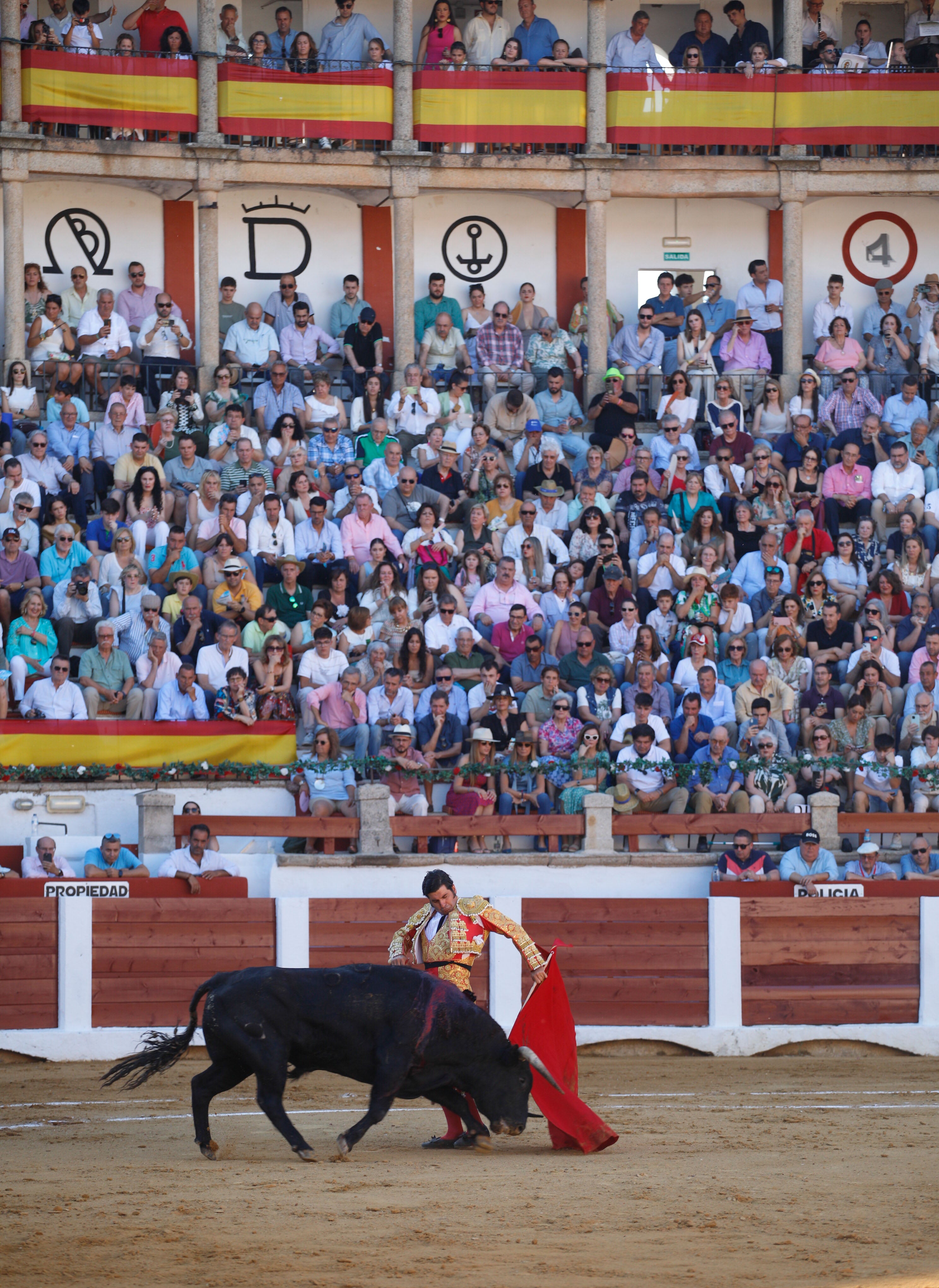 Fotos | Las mejores imágenes del regreso de los toros a Cáceres (I)