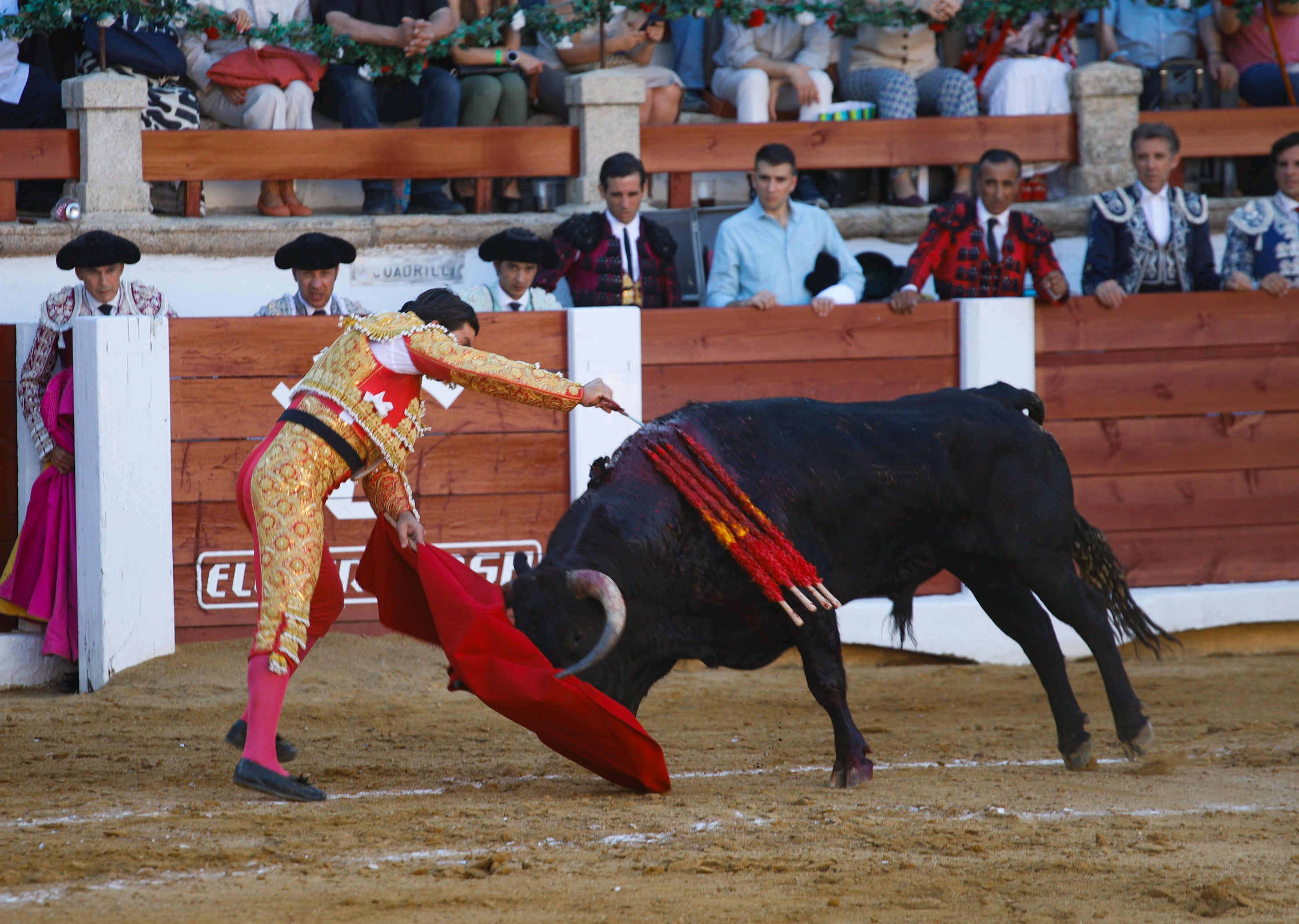 Fotos | Las mejores imágenes del regreso de los toros a Cáceres (I)